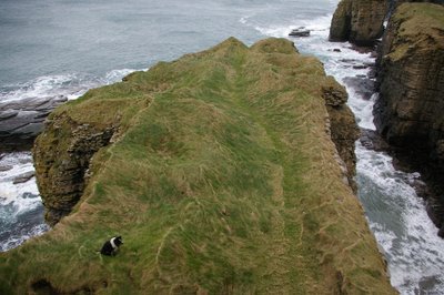 Charlie watches for seaborne invaders