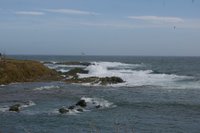 Surf