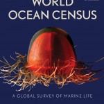 World Ocean Census: A Global Survey of Marine Life